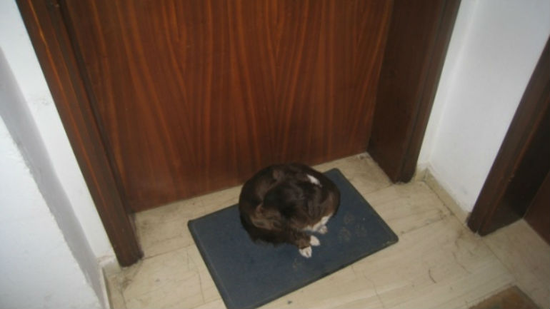 Ξάνθη: Το… πνεύμα της Πρωτοχρονιάς άφησε χρήματα στις πόρτες των σπιτιών τους