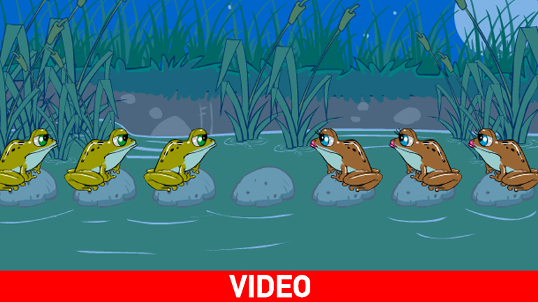 Σπαζοκεφαλιά: Μπορείτε να μεταφέρετε τα βατράχια στην άλλη πλευρά;