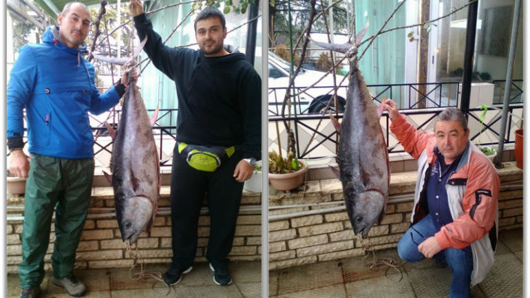Λευκάδα: Έπιασαν τόνο 45 κιλών έπειτα από τετράωρη «μάχη»