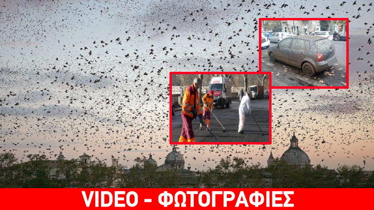 Συναγερμός στη Ρώμη από εκατομμύρια αποδημητικά πουλιά – Kίνδυνος από τα περιττώματα
