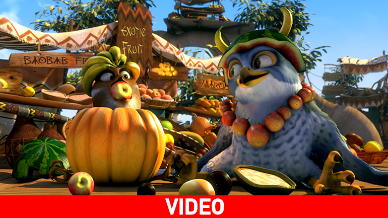 Ζαμπίζια: Πουλιά Στον Αέρα