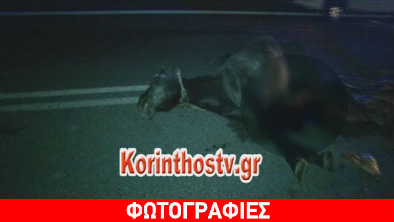 Κόρινθος: Νεκρό άλογο έπειτα από σύγκρουση με αυτοκίνητο