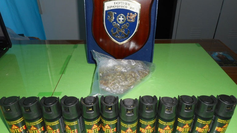 Χίος: Συνελήφθησαν Ελβετοί εθελοντές