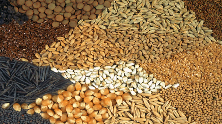 Δέσμευση φορτίου τεσσάρων τόνων ζωοτροφών στον Πειραιά