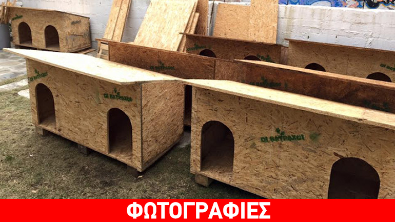 Οι «Βάτραχοι» κατασκεύασαν σπιτάκια για τα αδέσποτα της Ξάνθης