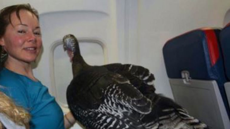 Tαξιδεύει με το αεροπλάνο μόνο αν έχει μαζί την γαλοπούλα της