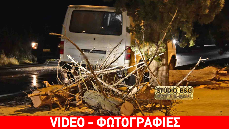 Ναύπλιο: Πτώση δέντρου σε αυτοκίνητο από τον ισχυρό άνεμο