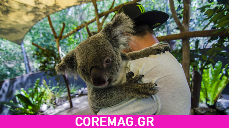 Troy Brosnan: Escape to Paradise