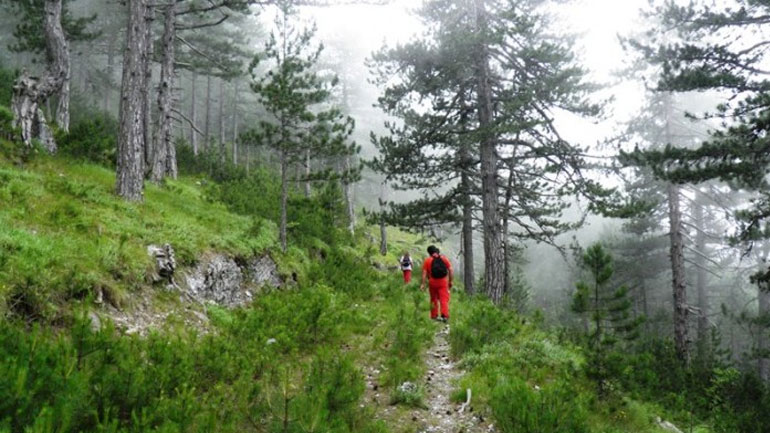 Λασίθι: Βγήκε για να μαζέψει μανιτάρια και δεν επέστρεψε σπίτι του