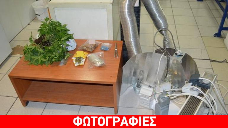 Κατερίνη: Σπίτι… εργαστήριο κάνναβης