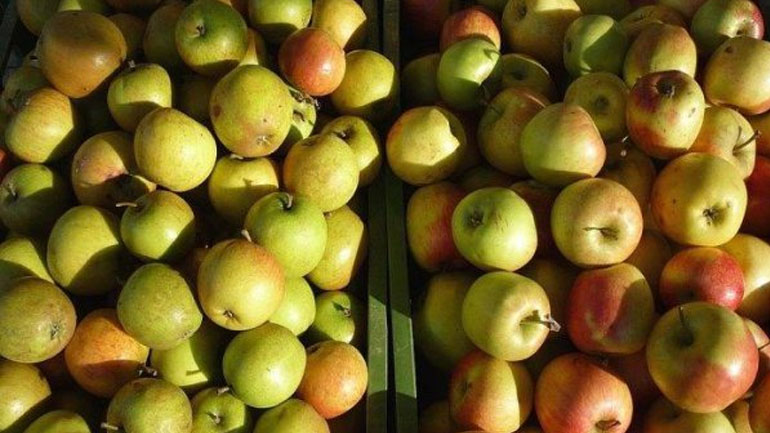 Καταστρέφουν τα φρέσκα τρόφιμα που κατάσχονται στη Θεσσαλονίκη