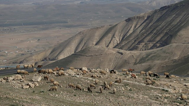 Το Ισραήλ επιβεβαιώνει σχέδιο προσάρτησης 1.540 στρεμμάτων γης στη Δυτική Όχθη