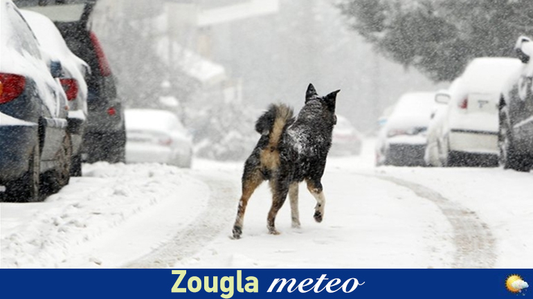 Στον «πάγο» η χώρα