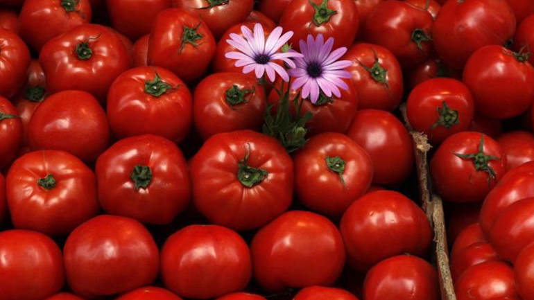 Καθαρισμός προσώπου με ντομάτα!