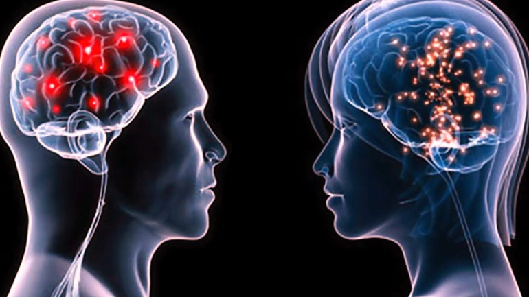 Εγκέφαλος και σεξισμός