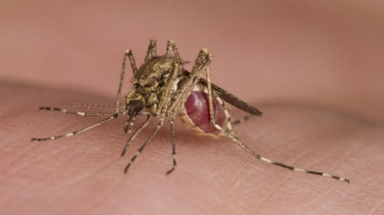 Το πρώτο κρούσμα του ιού Ζίκα εντοπίστηκε στην Κόστα Ρίκα