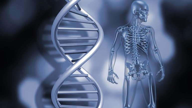 Επιγενετική και παχυσαρκία