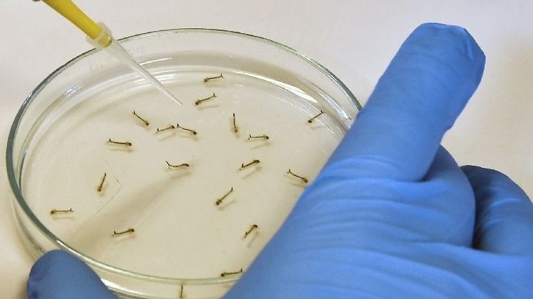 Ομπάμα για ιό Ζίκα: Βρείτε το εμβόλιο γρήγορα