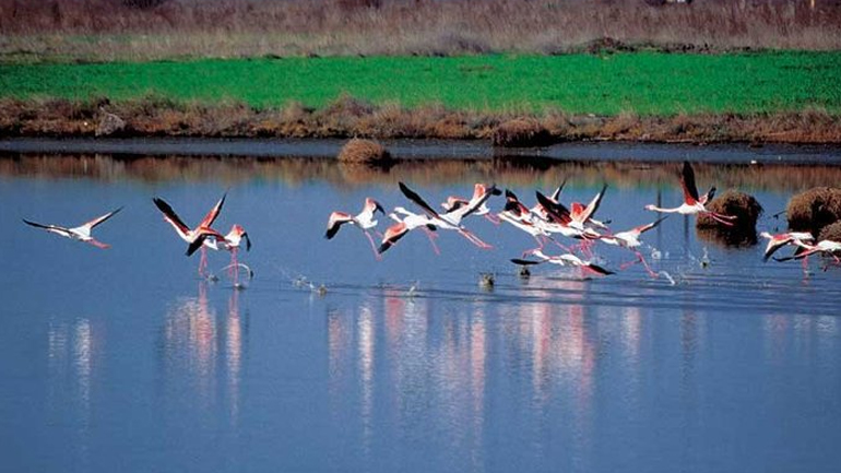 Σήμερα η Παγκόσμια Ημέρα Υγροτόπων