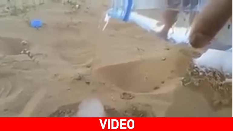 Πειράματα στην έρημο…