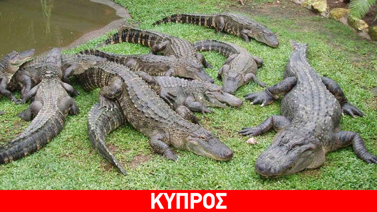 Κύπρος: Ανησυχία βουλευτών για το θεματικό πάρκο κροκοδείλων
