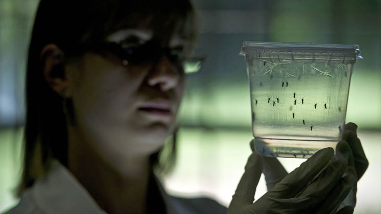 Μέτρο κατά του Ζίκα στη Βρετανία: Τα αεροσκάφη θα ψεκάζονται με εντομοκτόνα