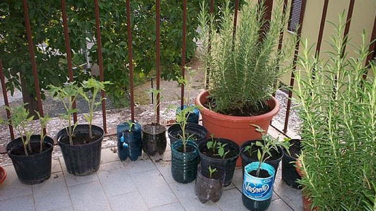 Της έκλεψαν 100.000 ευρώ που τα είχε κρυμμένα σε γλάστρα!