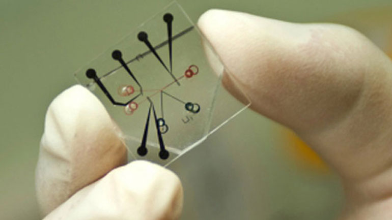 Πανευρωπαϊκή διάκριση σε διαγωνισμό Νανοτεχνολογίας για δύο δημοτικά σχολεία της Φλώρινας