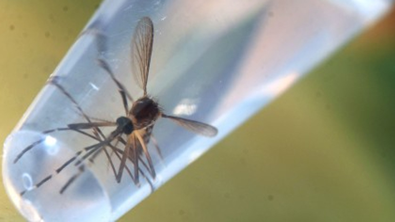 Κίνα: Επιβεβαιώθηκε το πρώτο «εισαγόμενο» κρούσμα του Ζίκα