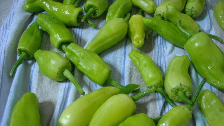 Δέσμευση πιπεριών στην περιοχή του Ρέντη