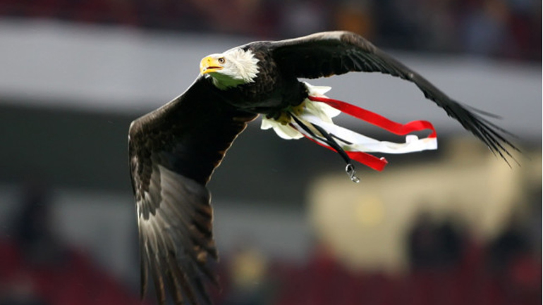 Εκπαιδεύουν αετό στον ΠΑΟΚ για να πετά πάνω από το γήπεδο