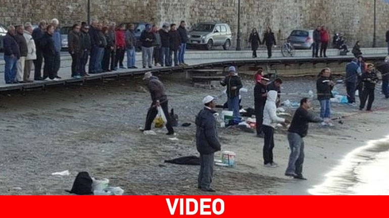 Τσιπούρες βγήκαν στη στεριά- «Πάρτι» για τους ψαράδες της Ρόδου Τσιπούρες βγήκαν στη στεριά- «Πάρτι» για τους ψαράδες της Ρόδου