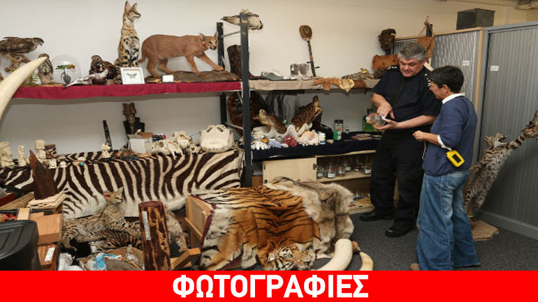 Η Ελλάδα σταυροδρόμι της παράνομης διακίνησης άγριων ζώων