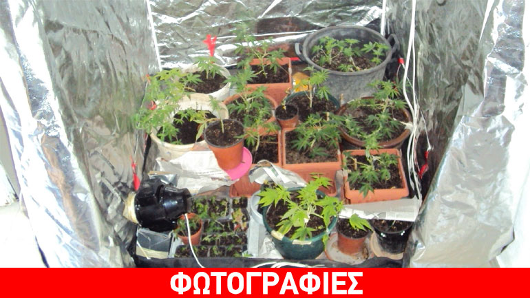 Ρέθυμνο: Συνελήφθη 46χρονος για υδροπονική καλλιέργεια κάνναβης