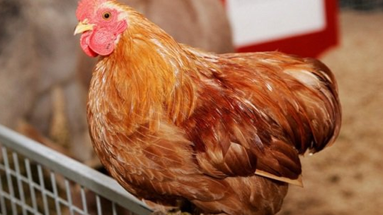 Οι 10 πιο περίεργοι νόμοι της Αμερικής!