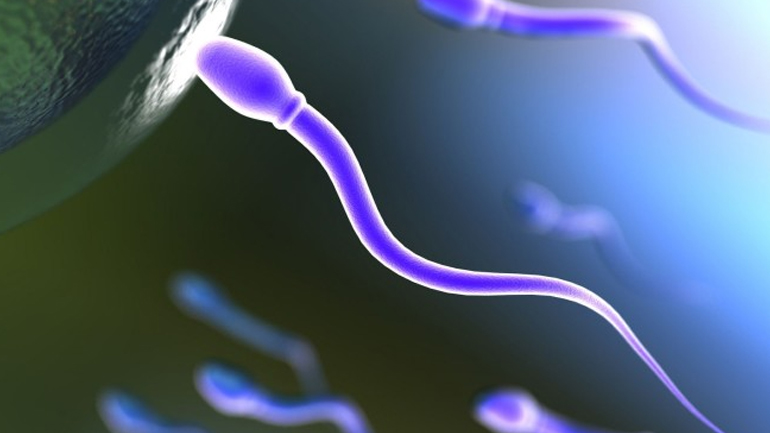 Υπογονιμότητα: Αίτια κι εναλλακτικές Υπογονιμότητα: Αίτια κι εναλλακτικές