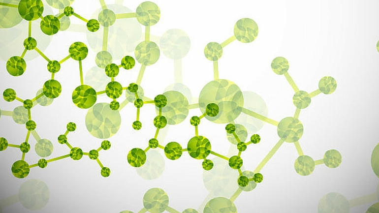 Δημιουργήθηκαν ανθρώπινοι μίνι-εγκέφαλοι εργαστηρίου