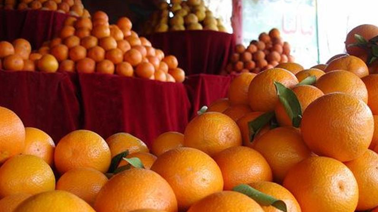 Ρέντη: Δέσμευσαν 15,7 τόνους πορτοκάλια