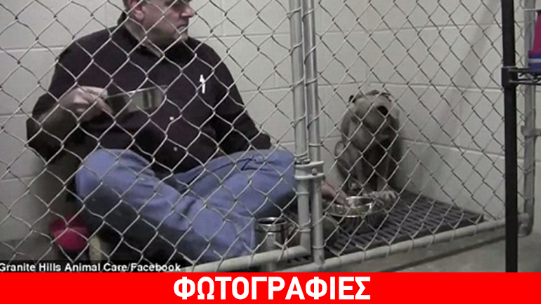 Απίστευτη ιστορία αγάπης: Κτηνίατρος παρηγορεί παρατημένο και φοβισμένο σκύλο