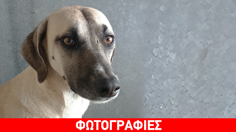 H Μάγια χρειάζεται μια ζεστή αγκαλιά