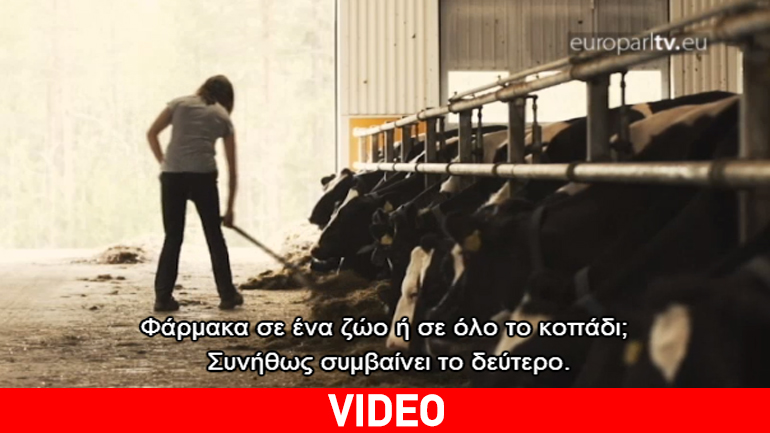 Μια διαφορετική προσέγγιση για τη θεραπεία των άρρωστων ζώων