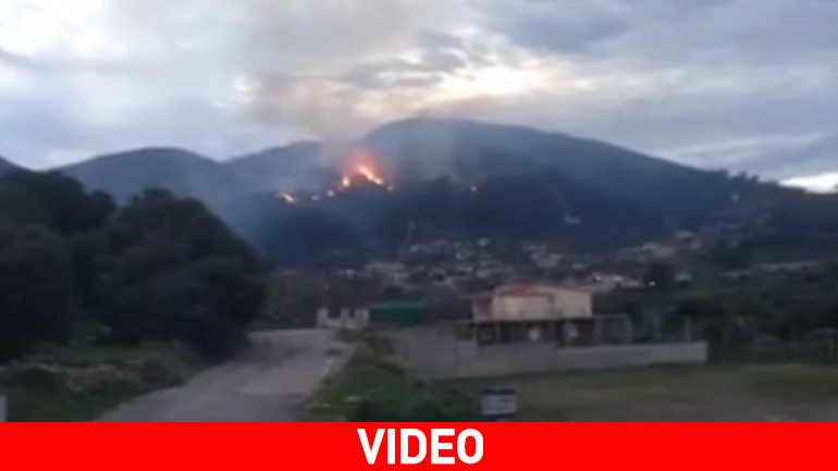 Υπό έλεγχο τίθεται η φωτιά στην ορεινή Τριφυλία Υπό έλεγχο τίθεται η φωτιά στην ορεινή Τριφυλία