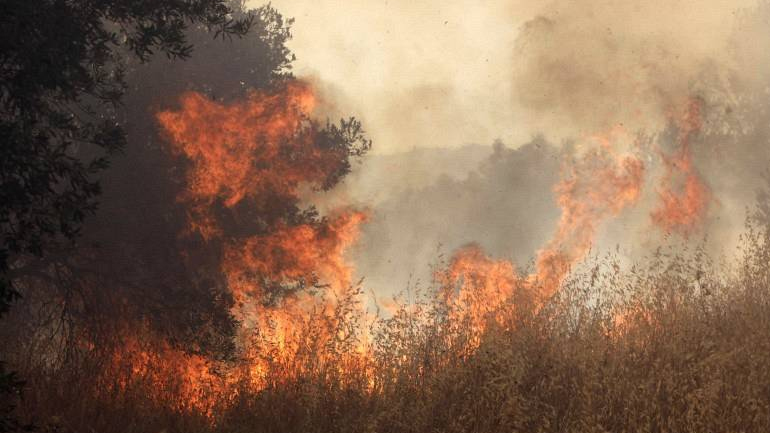 Έσβησε η πυρκαγιά στη Μάνη-Υπό έλεγχο η φωτιά στην ορεινή Τριφυλία