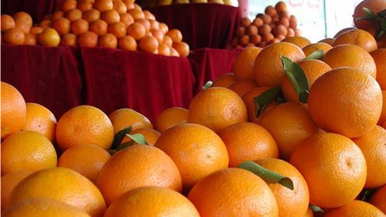 Περισσότεροι από πέντε τόνοι εσπεριδοειδή δεσμεύτηκαν στην περιοχή του Ρέντη