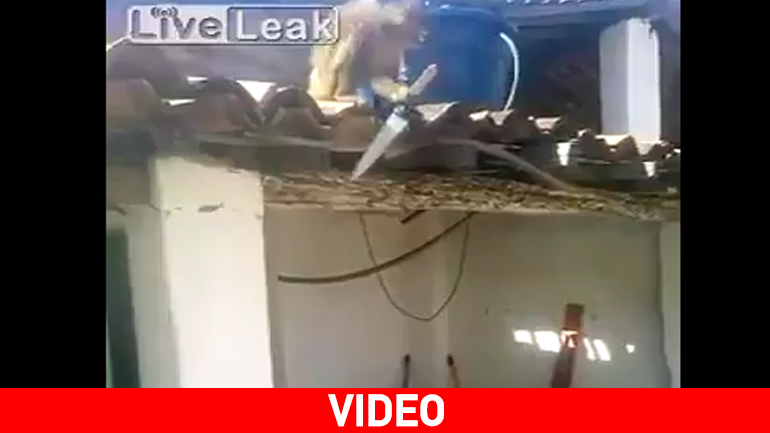 Μεθυσμένος… πίθηκος άρπαξε το μαχαίρι και…