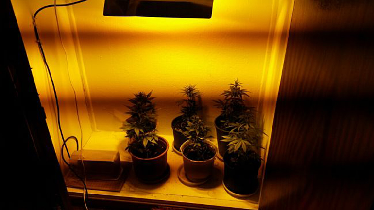 Πρέβεζα: Καλλιεργούσε χασίς στην ντουλάπα του σπιτιού του