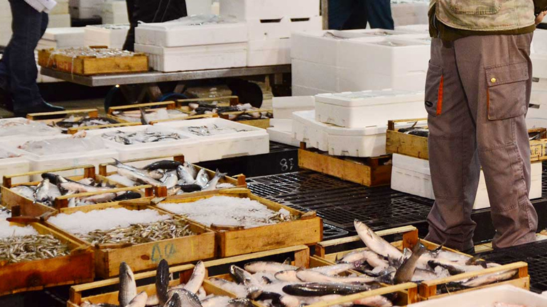 Παραβάσεις στην ιχθυόσκαλα Κερατσινίου