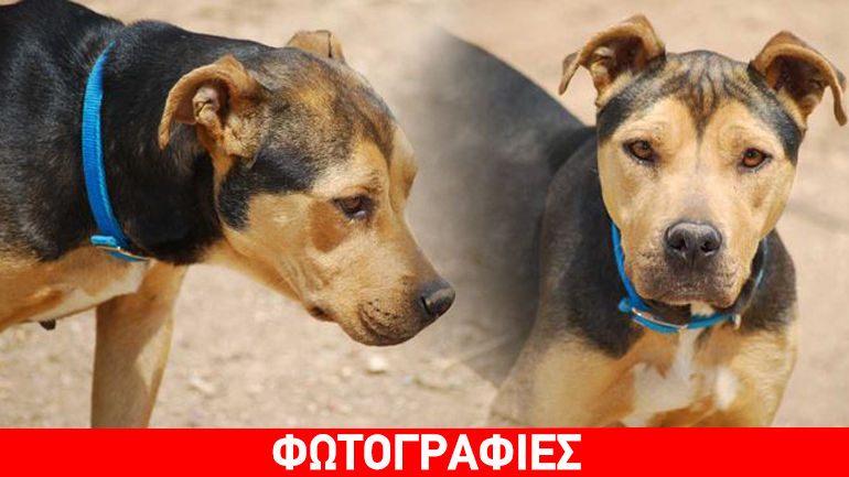 Δώστε μια ευκαιρία στη Magdalena