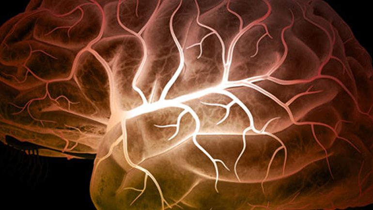 Ευρέως διαδεδομένο αντιεπιληπτικό φάρμακο ενοχοποιείται για γενετικές δυσμορφίες Ευρέως διαδεδομένο αντιεπιληπτικό φάρμακο ενοχοποιείται για γενετικές δυσμορφίες