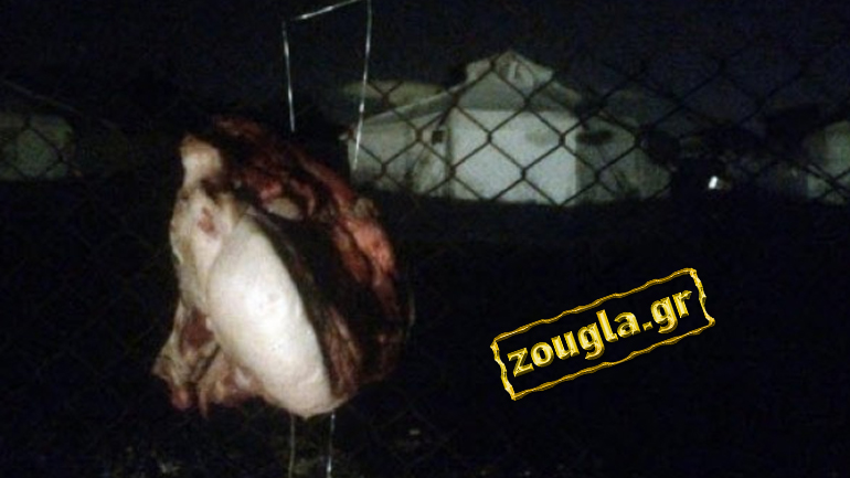 Δεκαπέντε βουλευτές της Νέας Δημοκρατίας για το Σχιστό